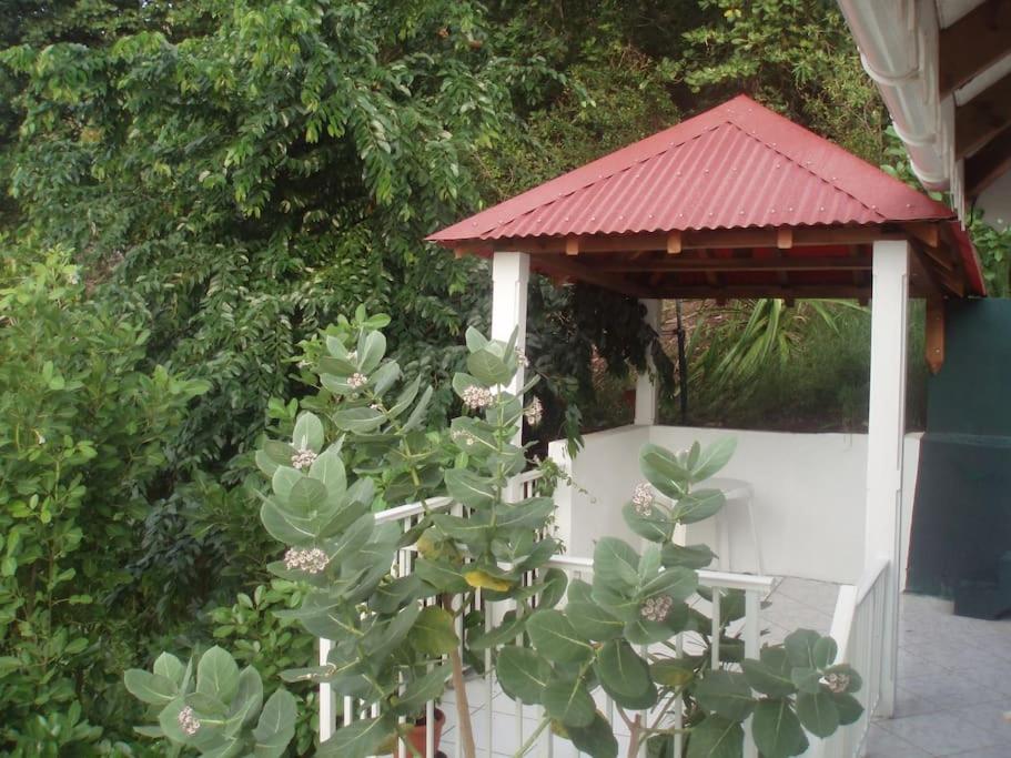 Studio De Charme Au Coeur Du Village, Vue Baie Terre-De-Haut Luaran gambar